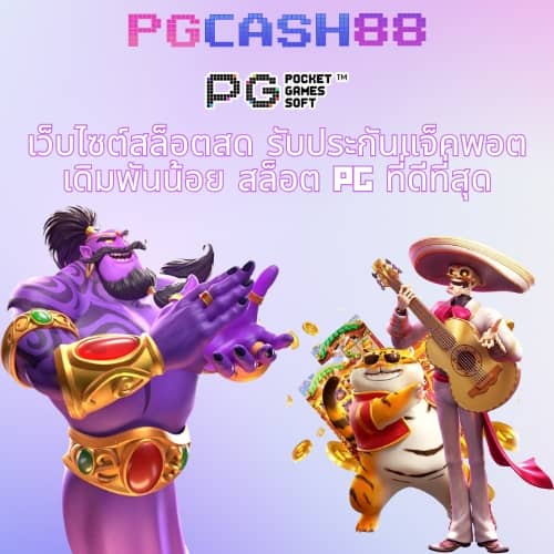 kc9 ทางเข้า